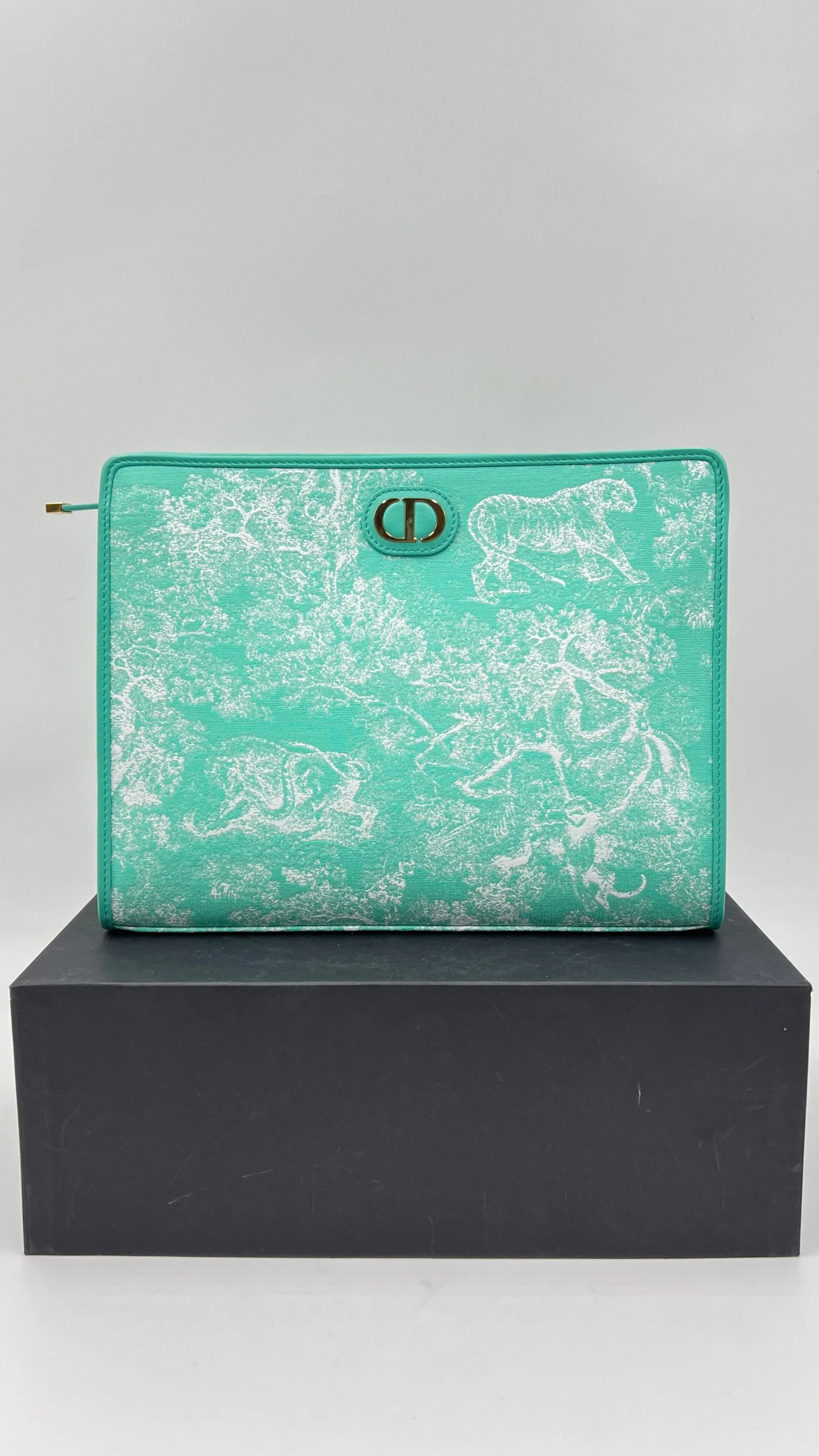 DIor Borse>Pochette "Dea 30" con box